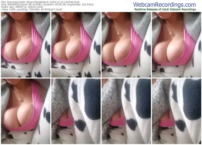 stripchat-boobshere--12-10-2024-12-03-29