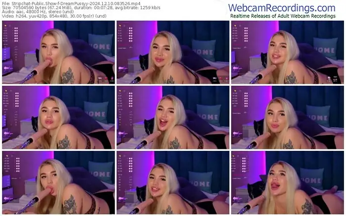 stripchat-dreampussyy-12-10-2024-08-35-26