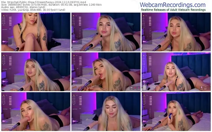 stripchat-dreampussyy-12-10-2024-09-37-01