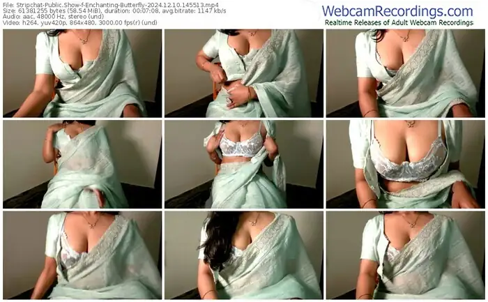 stripchat-enchanting-butterfly-12-10-2024-14-55-13