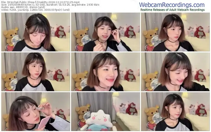 stripchat-onekitty-12-10-2024-07-11-25