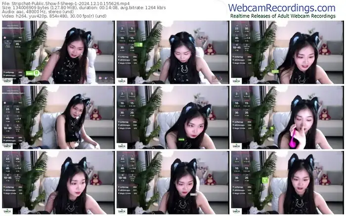 stripchat-sheep-1-12-10-2024-15-56-26