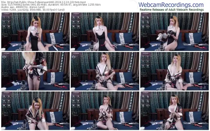 stripchat-idwenwen666-12-10-2024-16-15-44