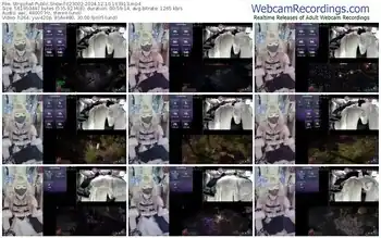 stripchat-z23002-12-10-2024-16-39-13