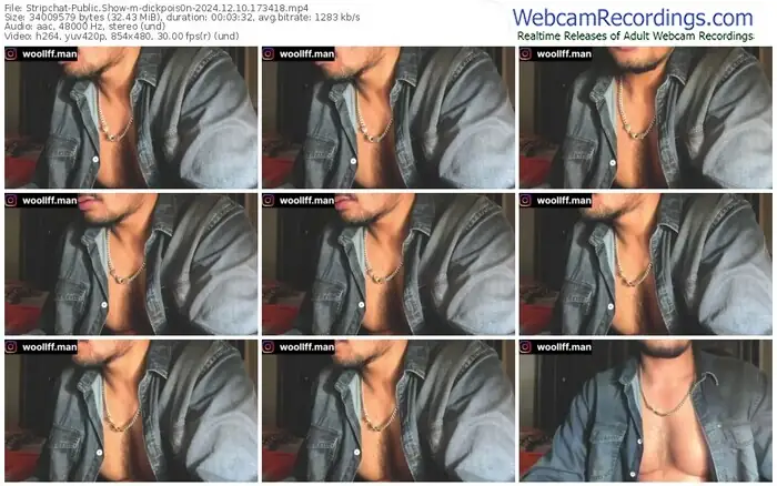 stripchat-dickpois0n-12-10-2024-17-34-18