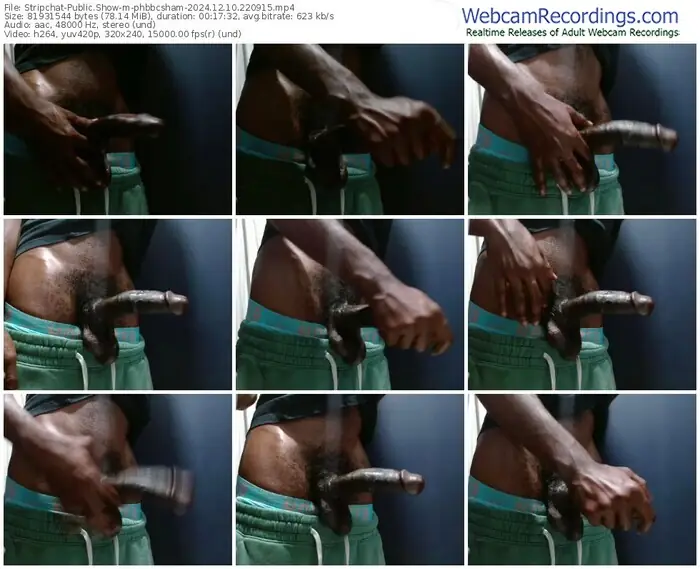 stripchat-phbbcsham-12-10-2024-22-09-15