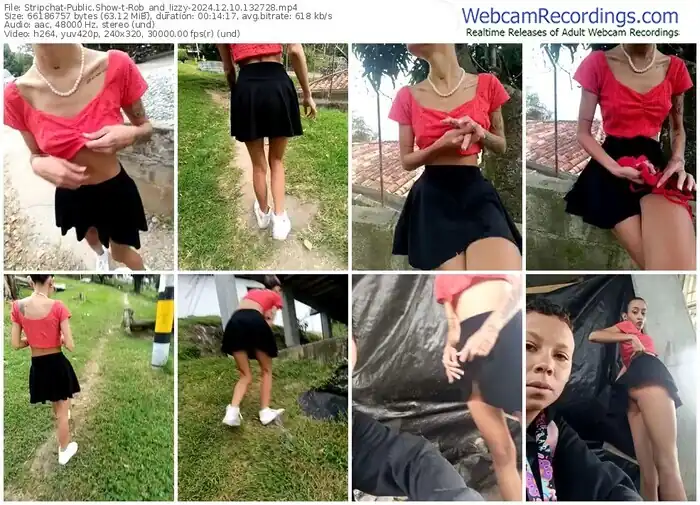 stripchat-rob_and_lizzy-12-10-2024-13-27-28
