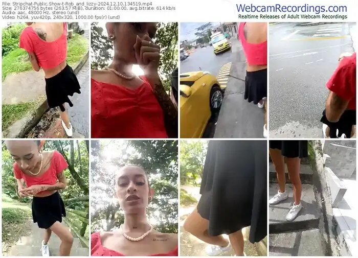 stripchat-rob_and_lizzy-12-10-2024-13-45-19