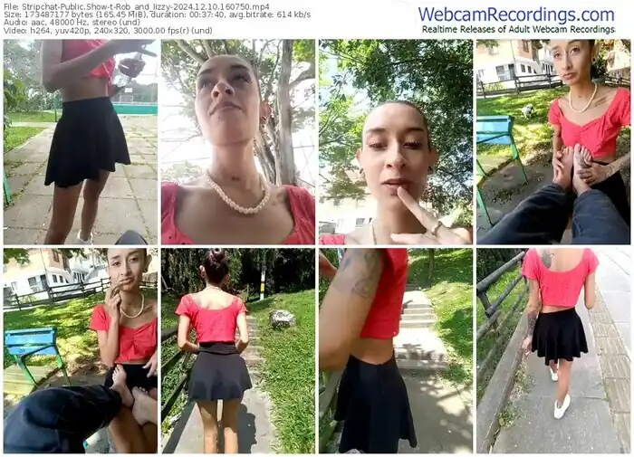 stripchat-rob_and_lizzy-12-10-2024-16-07-50