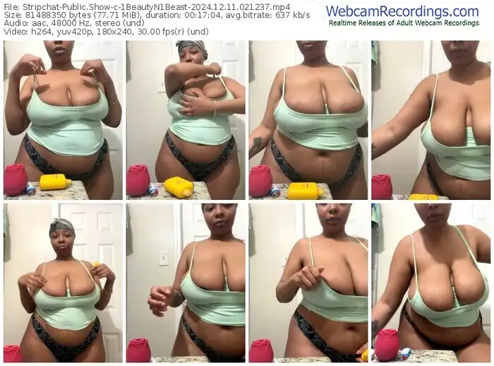 stripchat-1beautyn1beast-12-11-2024-02-12-37