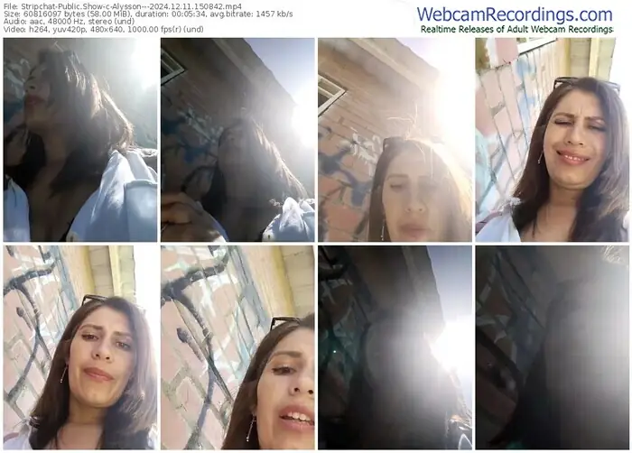 stripchat-alysson---12-11-2024-15-08-42