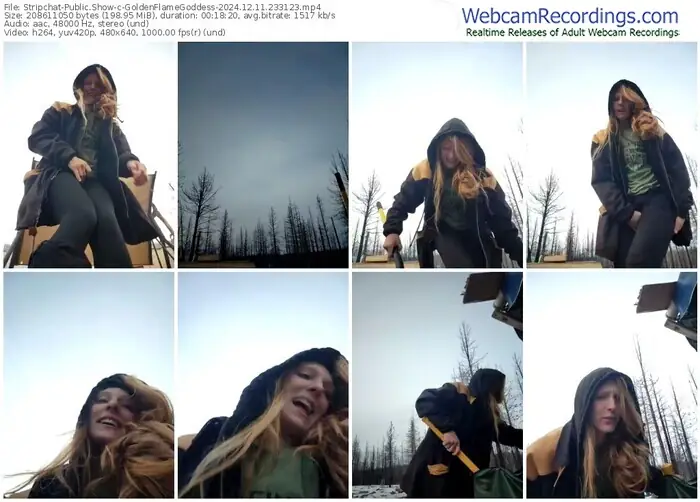 stripchat-goldenflamegoddess-12-11-2024-23-31-23
