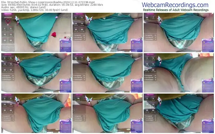 stripchat-iceprincess2bad4u-12-11-2024-07-22-38