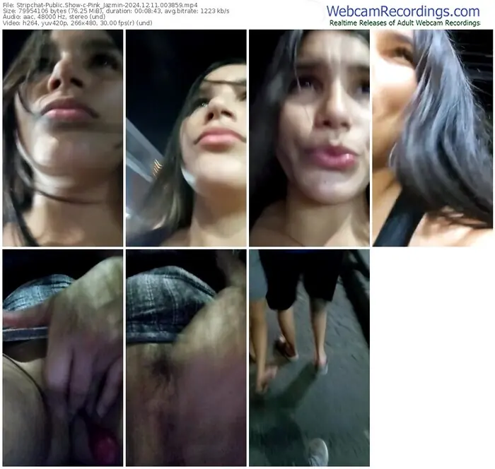 stripchat-pink_jazmin-12-11-2024-00-38-59