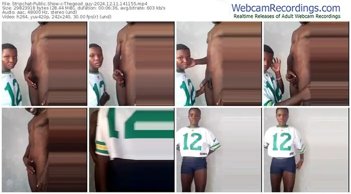 stripchat-thegood_guy-12-11-2024-14-11-55