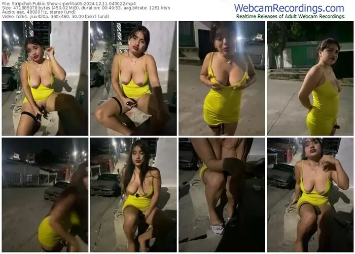 stripchat-perlita05-12-11-2024-04-30-22