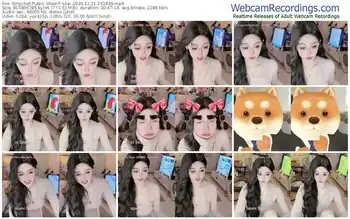 stripchat--ula--12-11-2024-16-18-39