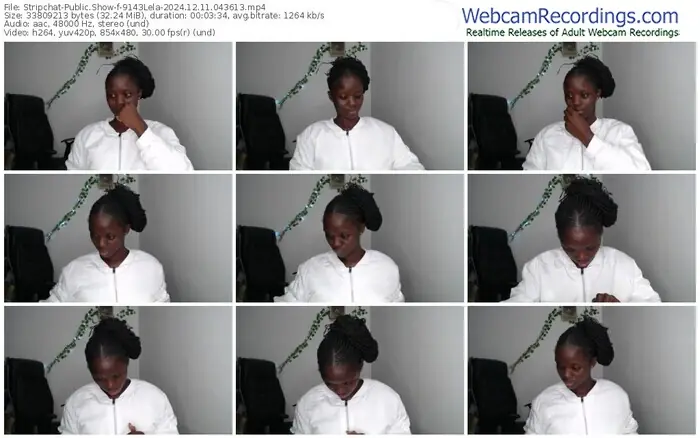 stripchat-9143lela-12-11-2024-04-36-13