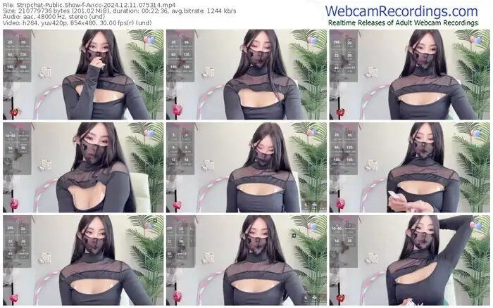 stripchat-avicc-12-11-2024-07-53-14