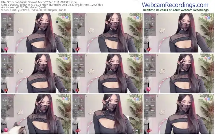 stripchat-avicc-12-11-2024-08-29-21