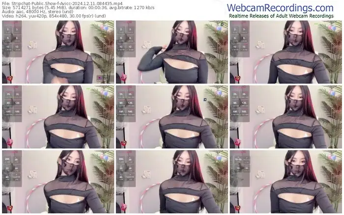 stripchat-avicc-12-11-2024-08-44-35