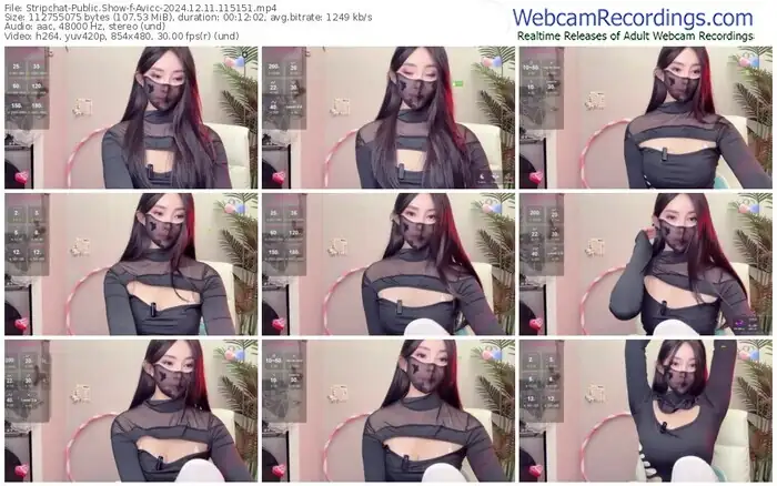 stripchat-avicc-12-11-2024-11-51-51