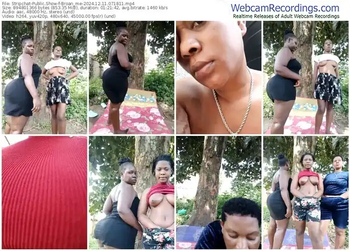 stripchat-broan_me-12-11-2024-07-18-11