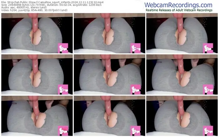 stripchat-cameltoe_squirt_inpants-12-11-2024-12-31-32