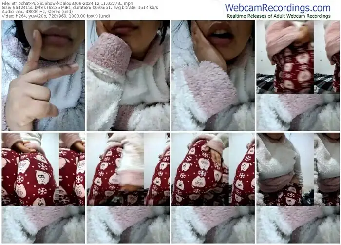 stripchat-dalou3a69-12-11-2024-02-27-31