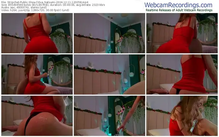 stripchat-eva_natsumi-12-11-2024-12-00-58