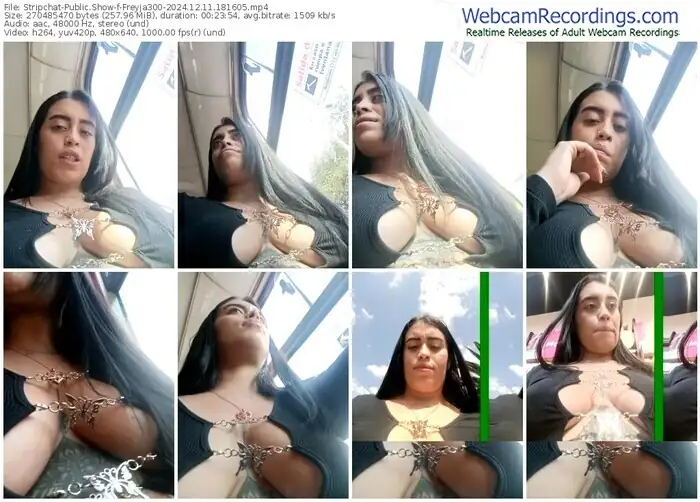 stripchat-freyja300-12-11-2024-18-16-05