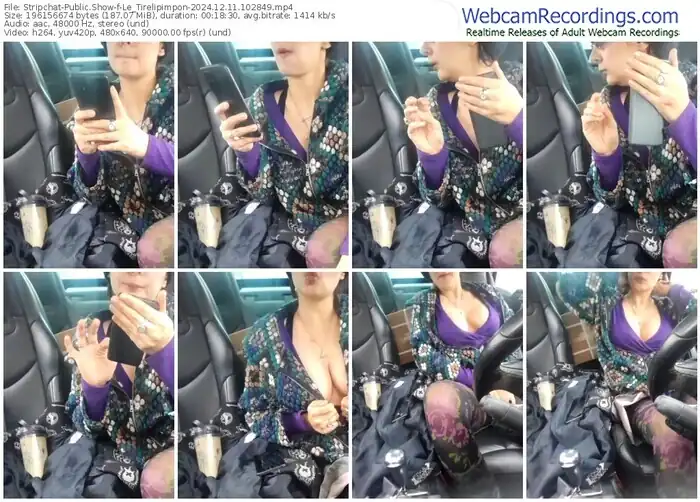stripchat-le_tirelipimpon-12-11-2024-10-28-49