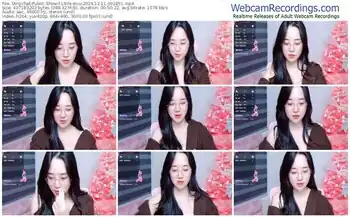 stripchat-little-miu-12-11-2024-09-28-51