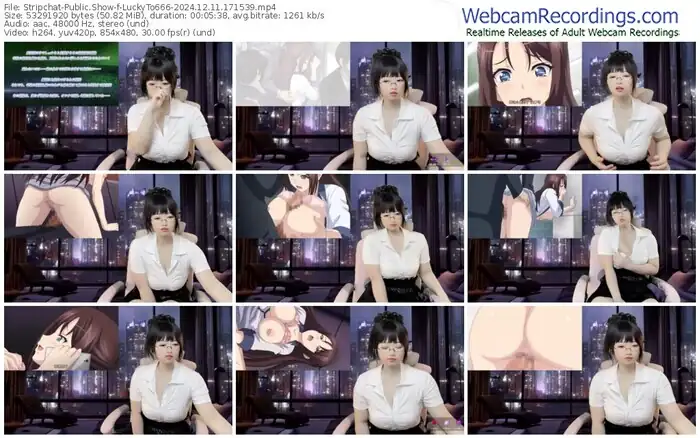 stripchat-luckyto666-12-11-2024-17-15-39