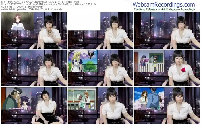 stripchat-luckyto666-12-11-2024-17-34-06