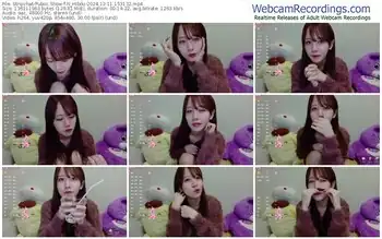 stripchat-n_hibiki-12-11-2024-15-31-32