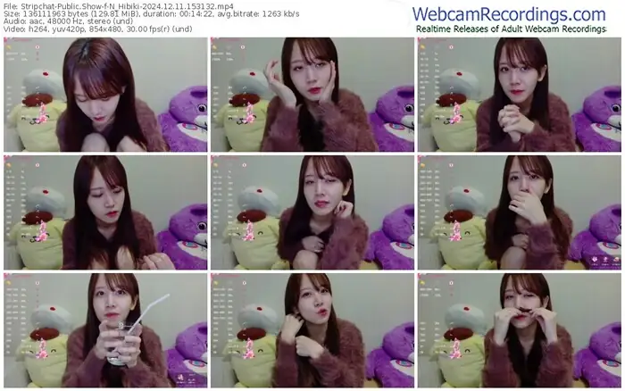 stripchat-n_hibiki-12-11-2024-15-31-32