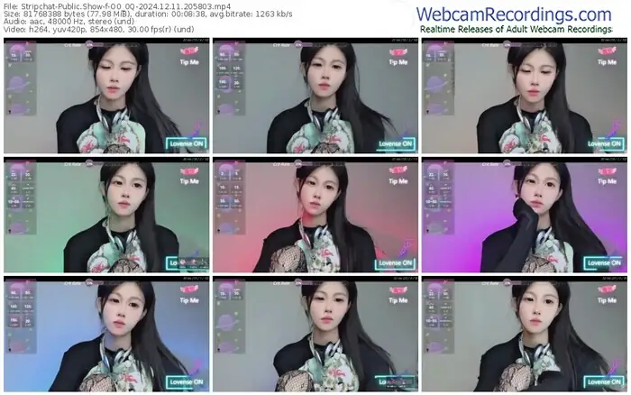 stripchat-o0_0q-12-11-2024-20-58-03
