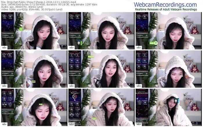 stripchat-sheep-1-12-11-2024-14-42-21