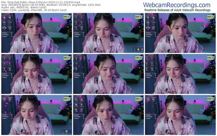 stripchat-shyvivi-12-11-2024-03-24-03