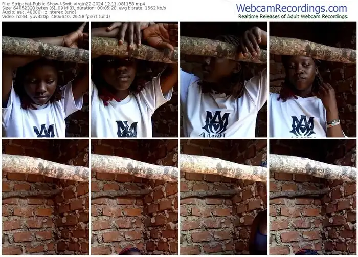 stripchat-swit_virgin22-12-11-2024-08-11-58