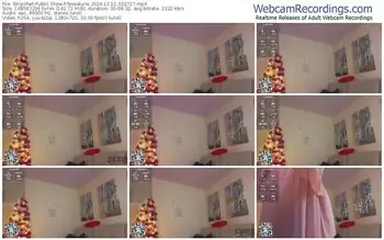 stripchat-tessalune-12-11-2024-03-27-27