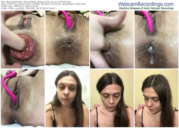 stripchat-wild_energy-12-11-2024-07-44-46