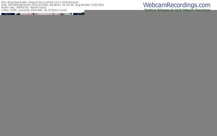 stripchat-yijin-a-12-11-2024-00-47-06