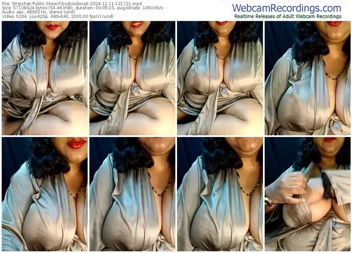 stripchat-boobooboudi-12-11-2024-12-17-21