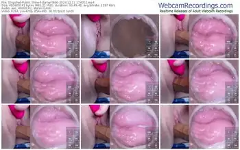 stripchat-danigirl866-12-11-2024-17-40-52
