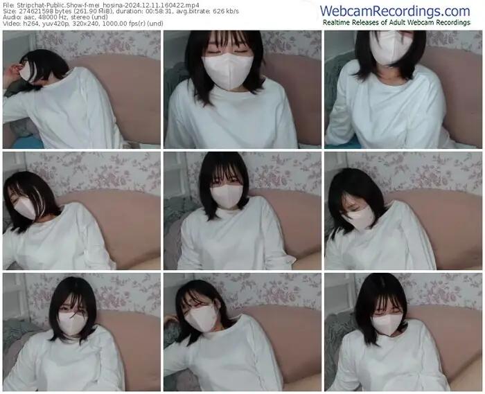 stripchat-mei_hosina-12-11-2024-16-04-22