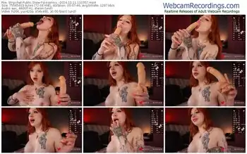 stripchat-poisonivy_-12-11-2024-11-03-57