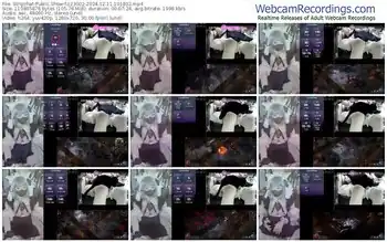 stripchat-z23002-12-11-2024-10-18-02