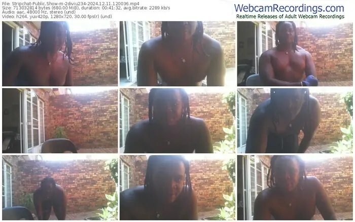 stripchat-2diviu234-12-11-2024-12-00-36